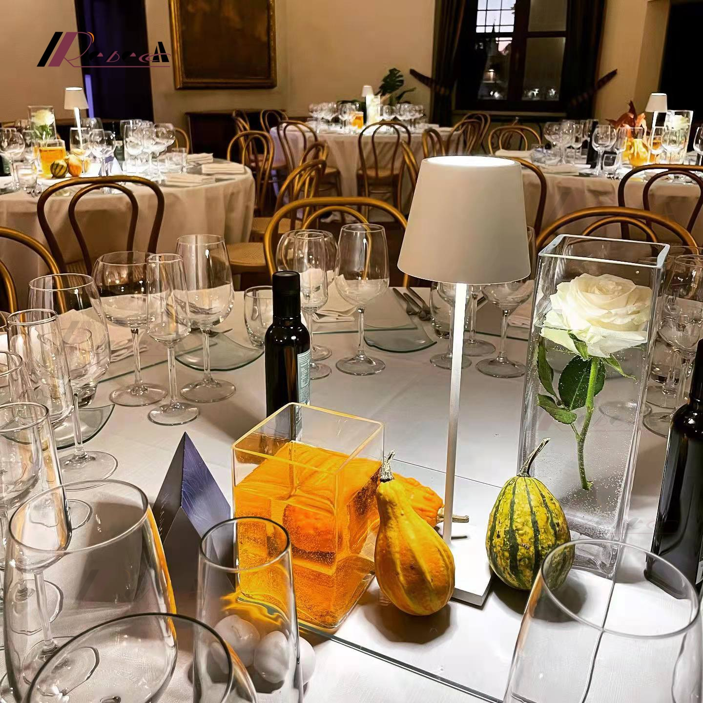 Rechargeable Cordless LED Table Lamp